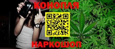 сатива Краснокаменск