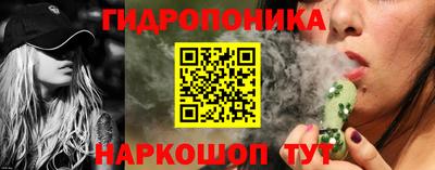 сатива Краснокаменск
