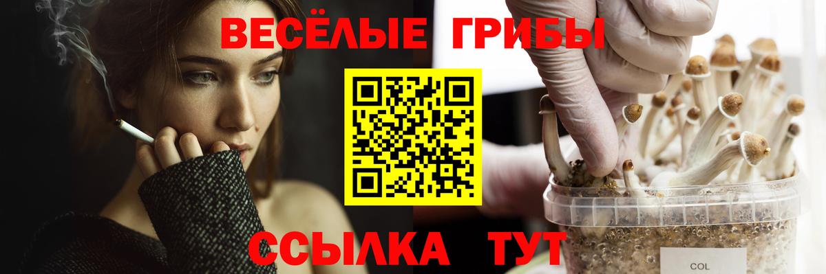 Псилоцибиновые грибы прущие грибы  Вход с VPN  Феодосия  Псилоцибиновые грибы Psilocybine cubensis 
